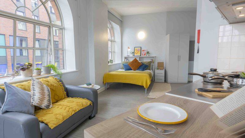 Platinum Studio Plus