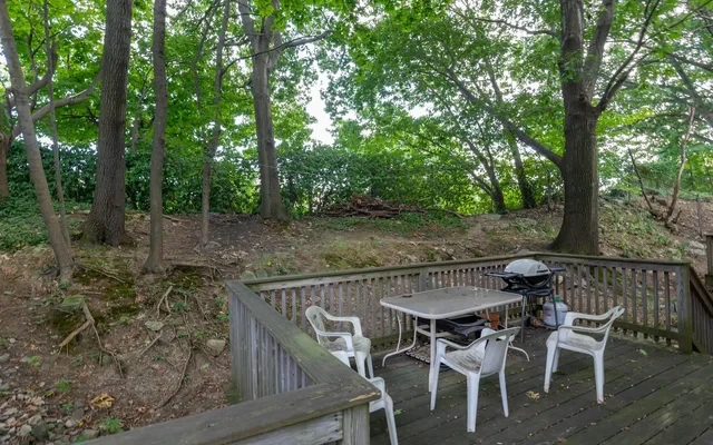 56 Ridgemont Street 3