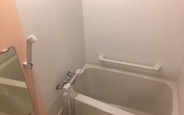 Leonext Vine 2 1