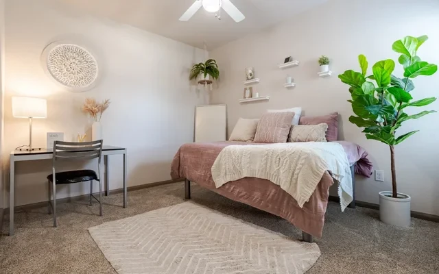 Midtown Corpus Christi 1