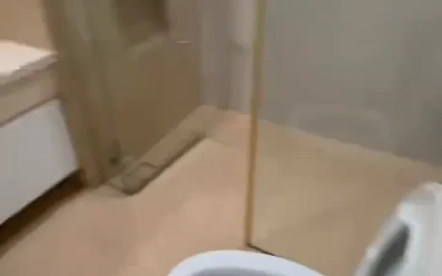 Camellia @ Bangsar South 2