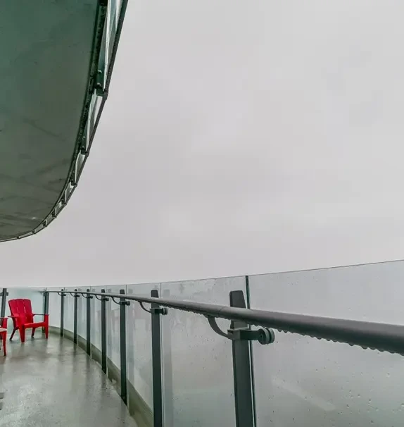 Absolute World Ⅴ(50 Absolute)