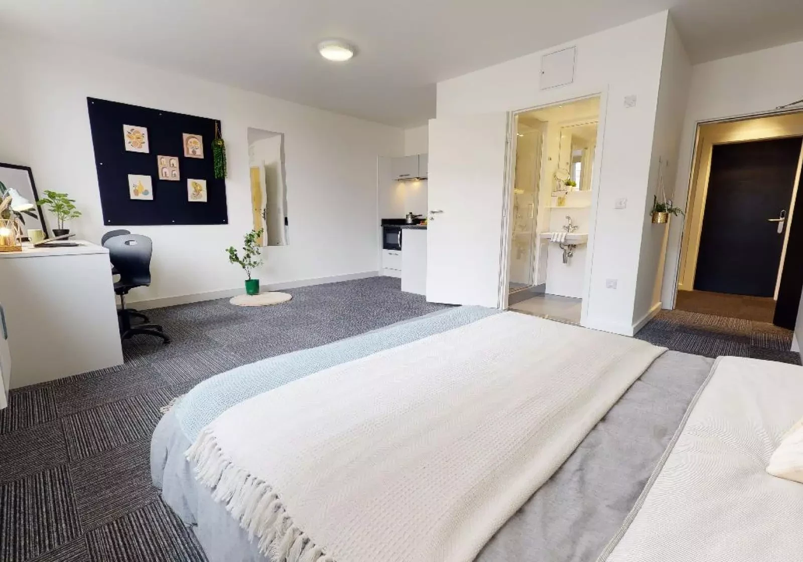 Platinum Studio Premium