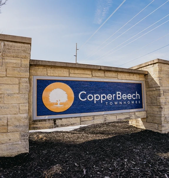 Copper Beech