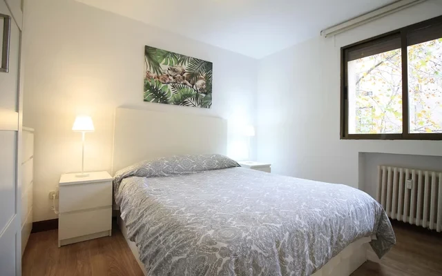 Studio Calle Doctor Fleming 2