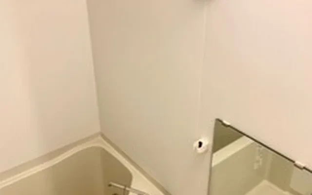 レオネクストブルースカイ 4