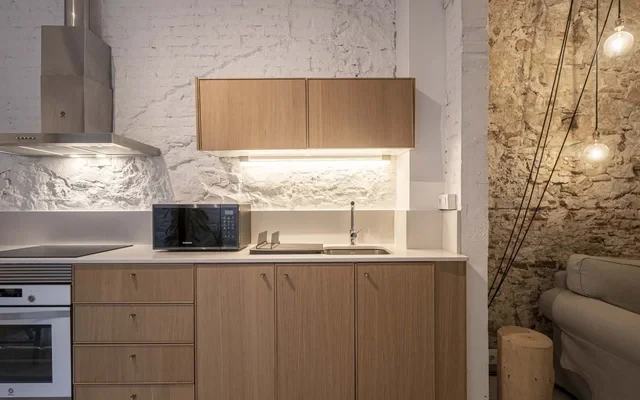 Diagonal Cozy Loft 2