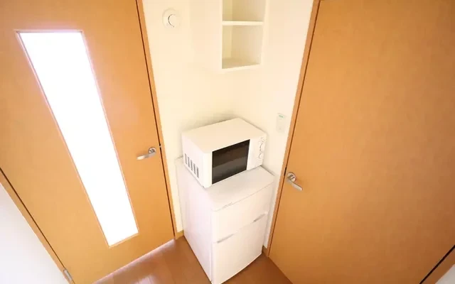 レオパレスＳＡＮＷＡ 110室 3