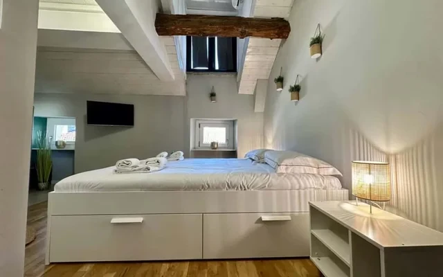 [Torino Centro] Romano Suite 4