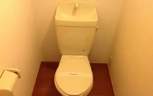 レオパレス藤 3