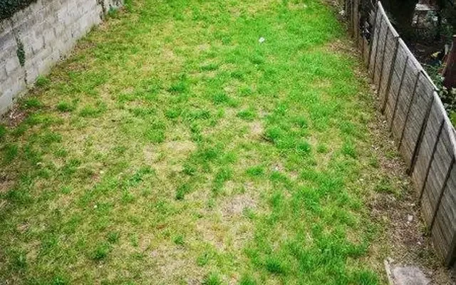 2 Bed Semi House 3