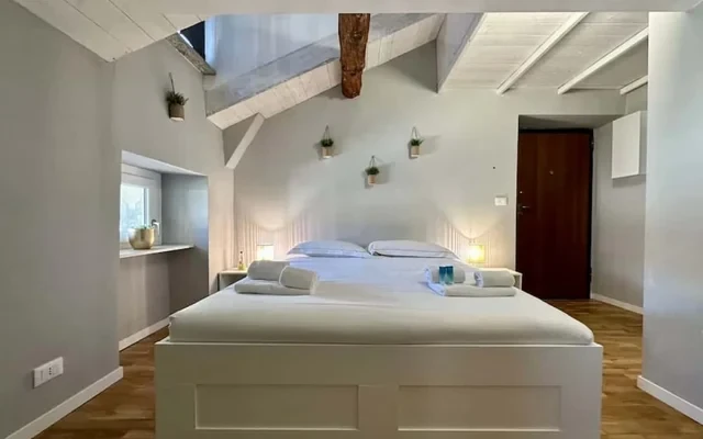 [Torino Centro] Romano Suite 0