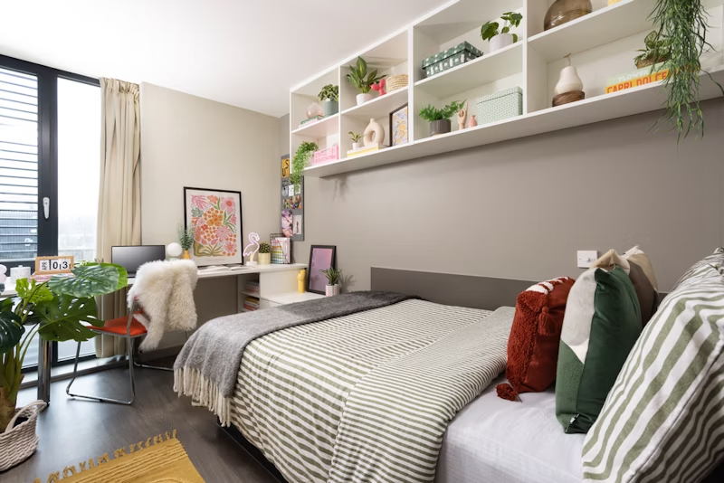 Classic Accessible Studio