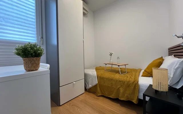 Apartment in the center of Madrid with 3 bedrooms and terrace  (4H0) 1