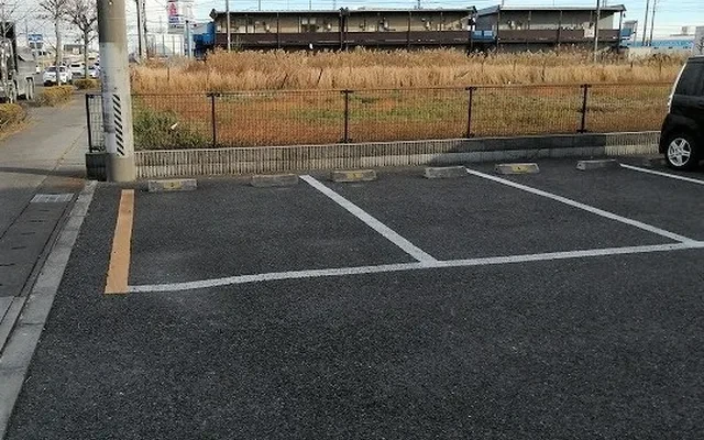 レオネクストスイートピー 1
