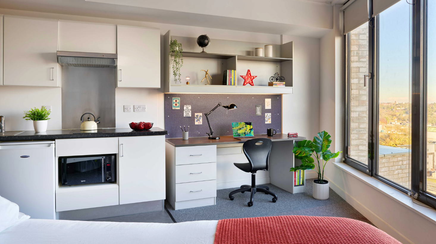 Platinum Studio - Single Occupancy