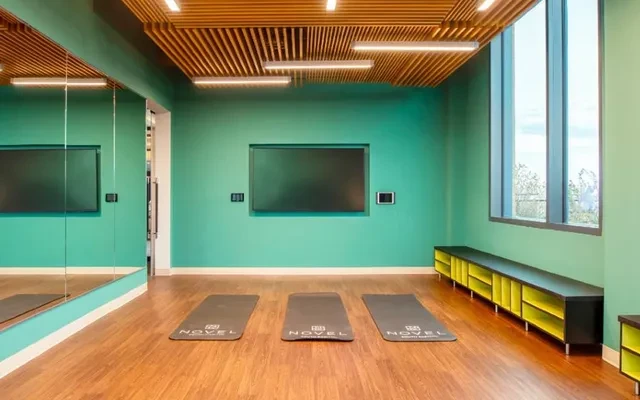 NOVEL South Capitol 2