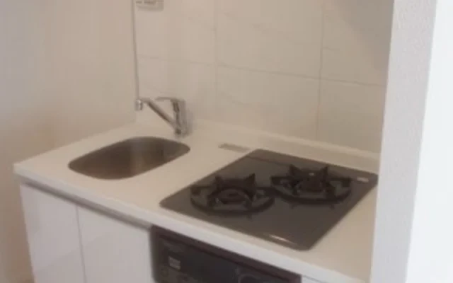 Prime Urban Kumegawa 306 3