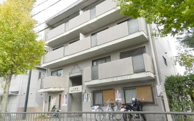 Kamiadaya Roman Mansion 0
