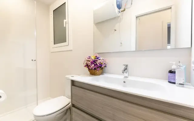 apartment in El Putxet i el Farró (Sarrià   Sant Gervasi) 0