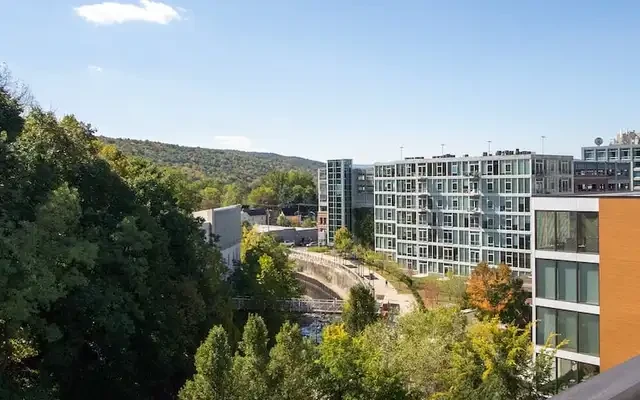 Cayuga Lofts 1