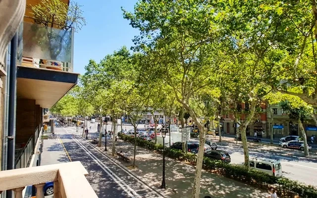 Gran Via de les Corts Catalanes Barcelona 08015 Spain 3