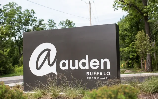 Auden Buffalo 1