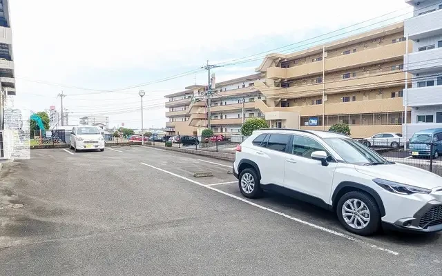 レオネクスト桜 2