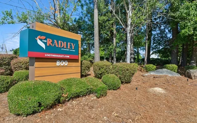 The Radley 1