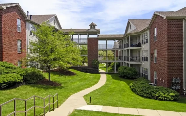 Alight State College 0