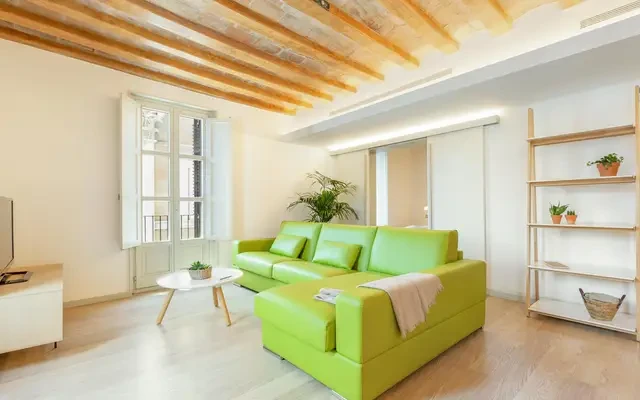 apartment in Gothic Quarter 4