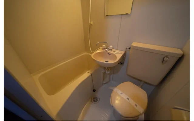 Aqua Tokyo bay residence 306 3