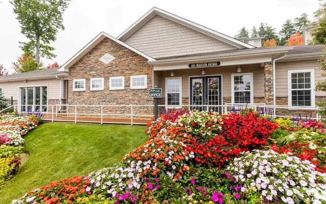 The Village of Meadowview 1