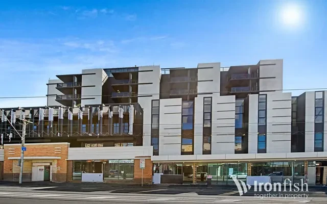33 Judd Street, Richmond 0