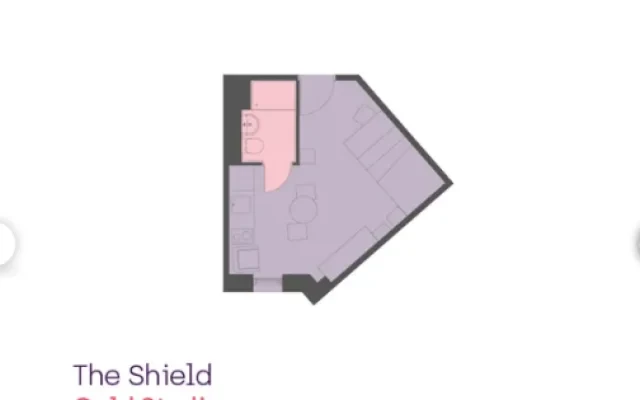 The Shield 4