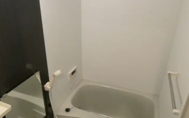 Casa del canario Suwanomori 205 3