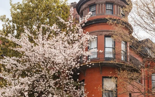 Found Dupont Circle 0