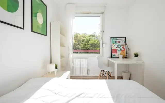 Cosy double bedroom not far from the Université Jean Moulin Lyon 3 4