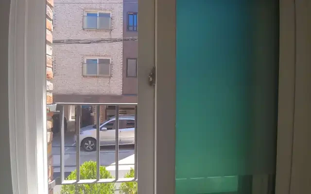 슈니펠리체 2