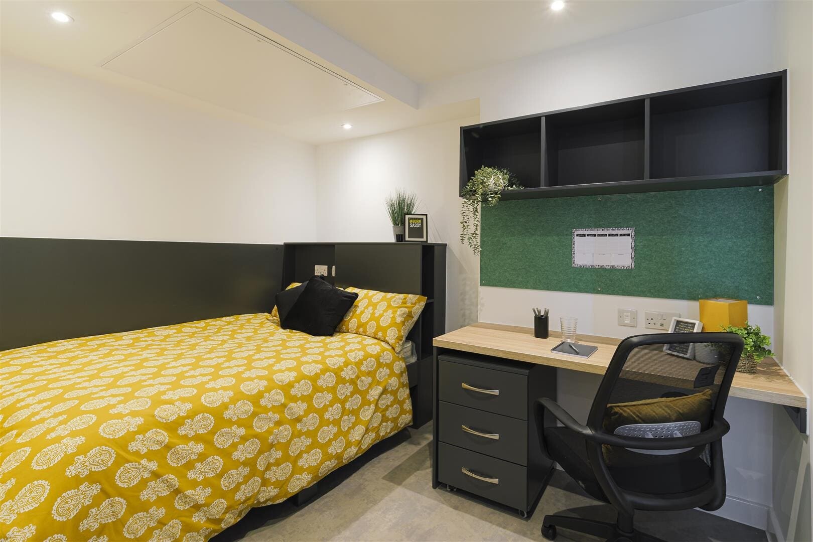 Bedford - Studio Style D05