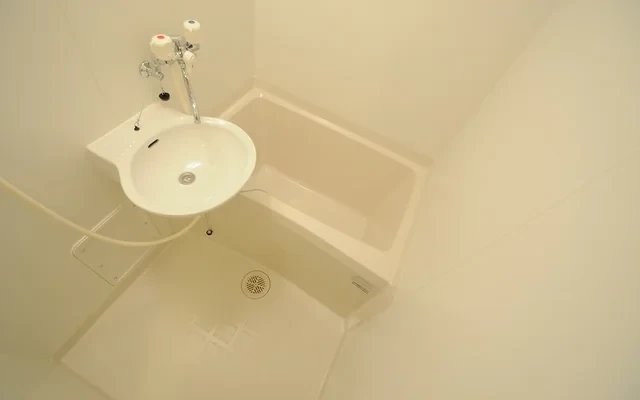 レオパレスシエナ九品寺Ⅱ 207号室 1
