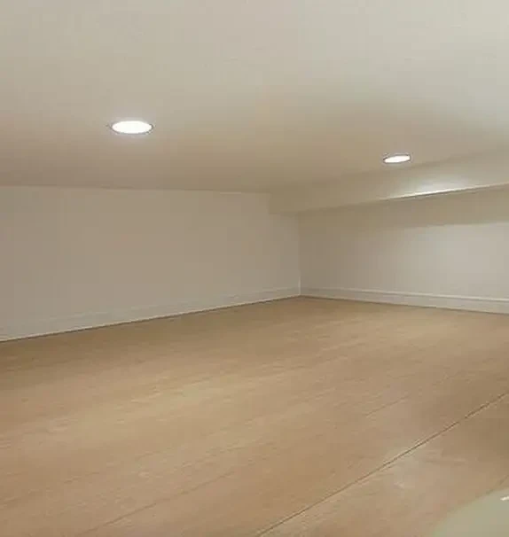 Ferris Lotus Room 102