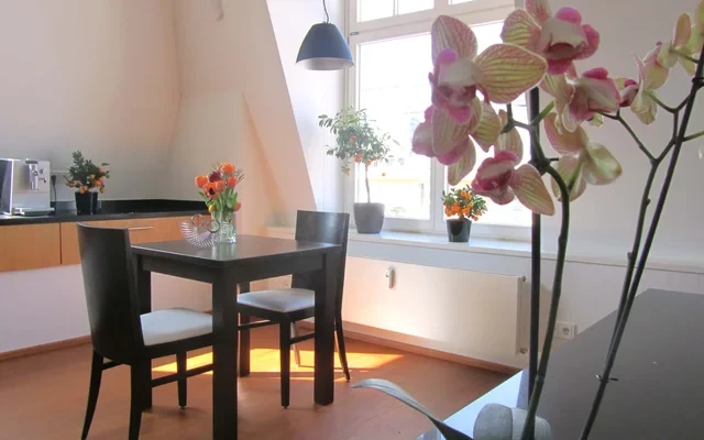 Large Unique Full-Serviced Elegant Penthouse-Apartement between Park and City Center 3