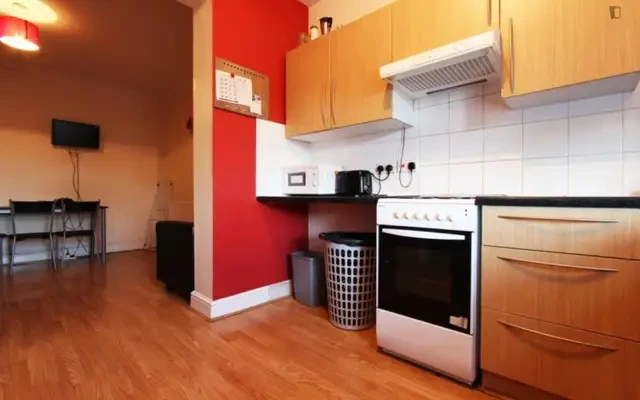 Cosy bedroom in 4-bedroom flat in London – Studentenunterkunft in London – 4 Bedroom 1 Bathroom Private bedroom