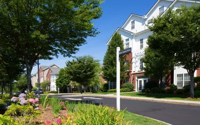 Avalon at Lexington Hills 2