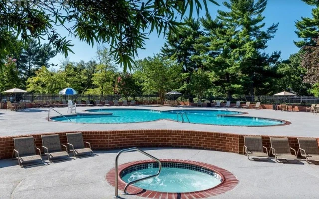 1B1B Apartment near Georgetown University 2
