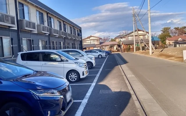 レオネクストパーシモン 3
