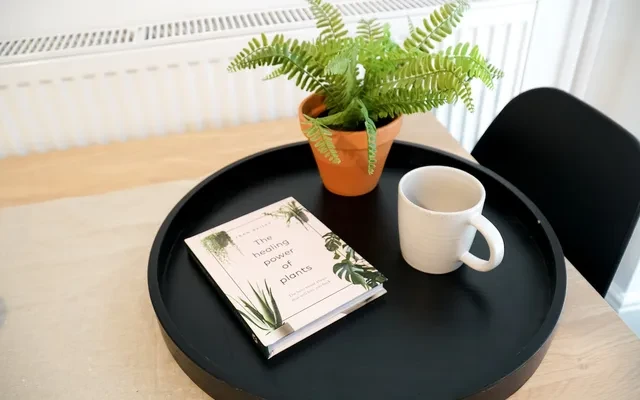 14 Driffield Street 1