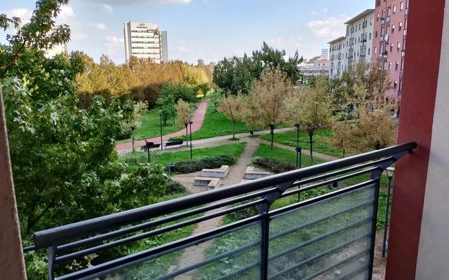 Via Filippo Palizzi, Milano 4