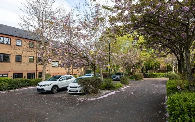 Dwell Cathedral Campus 1